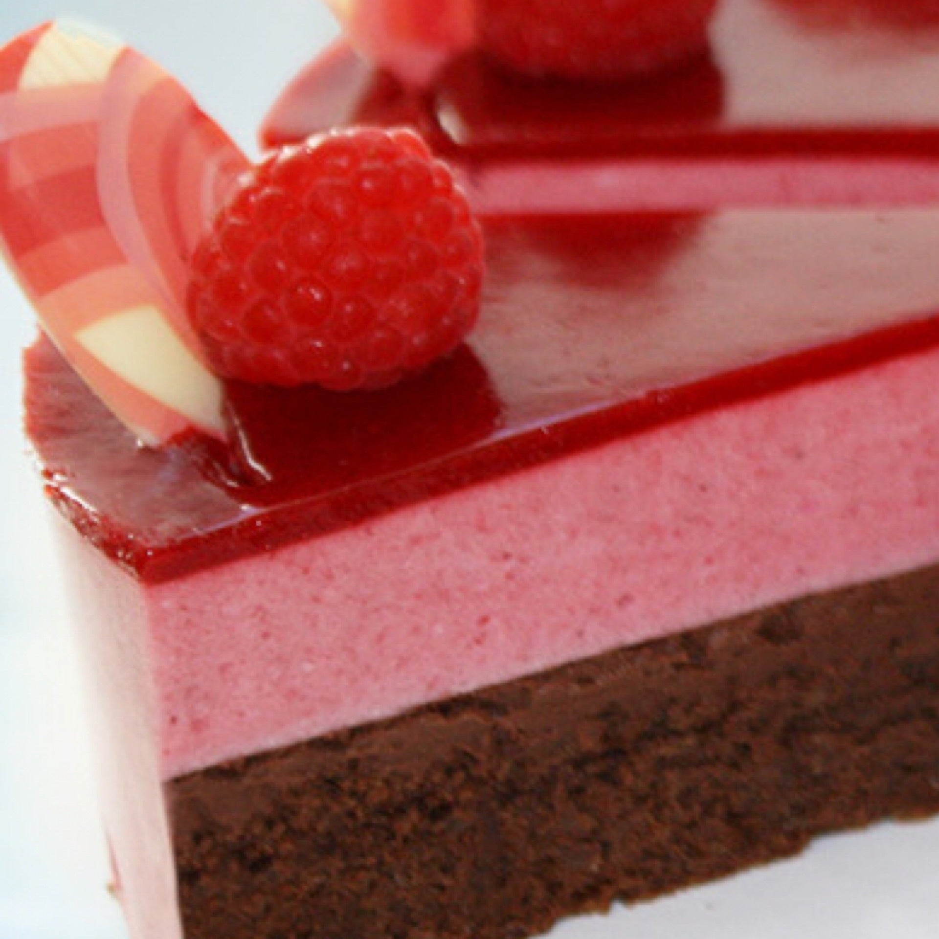 Raspberry Chocolate Cake (Gluten Free) | Hahdough SF - German Cakes ...